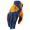 blue-orange